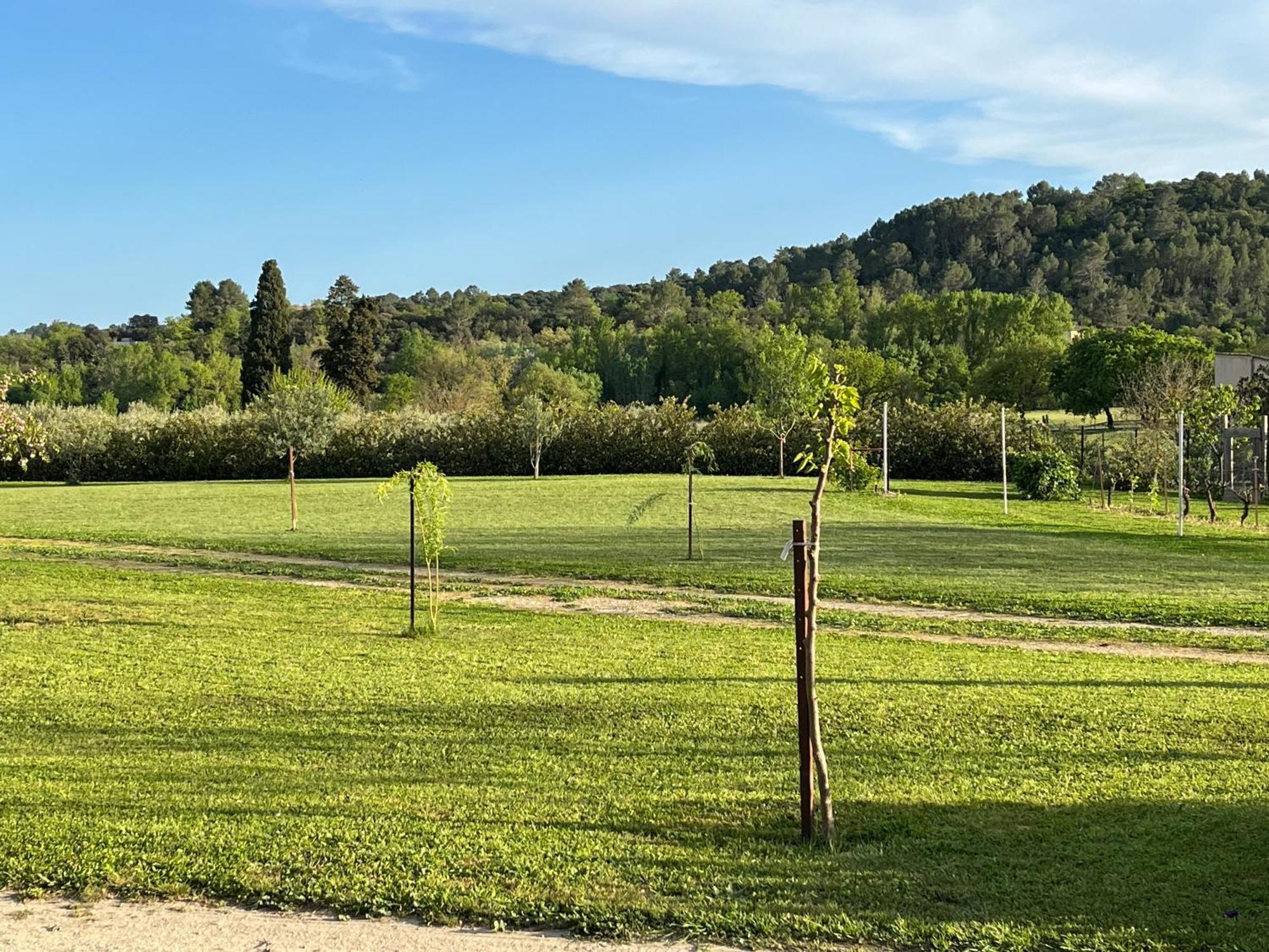 Apartamento La Bergerie Domessargues Exterior foto