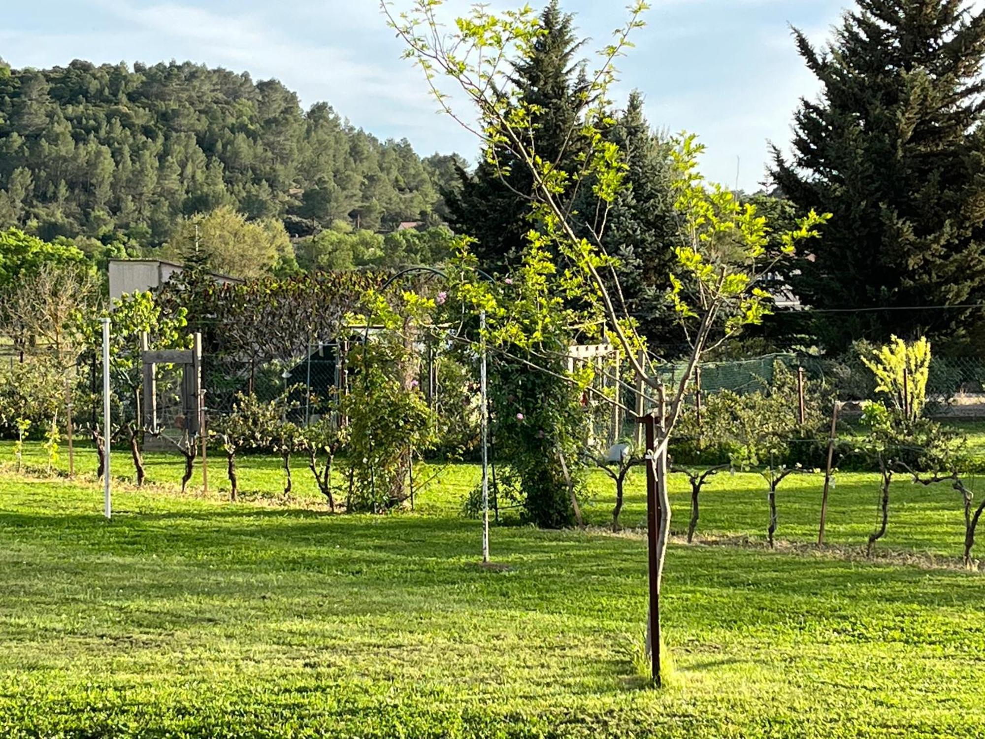 Apartamento La Bergerie Domessargues Exterior foto